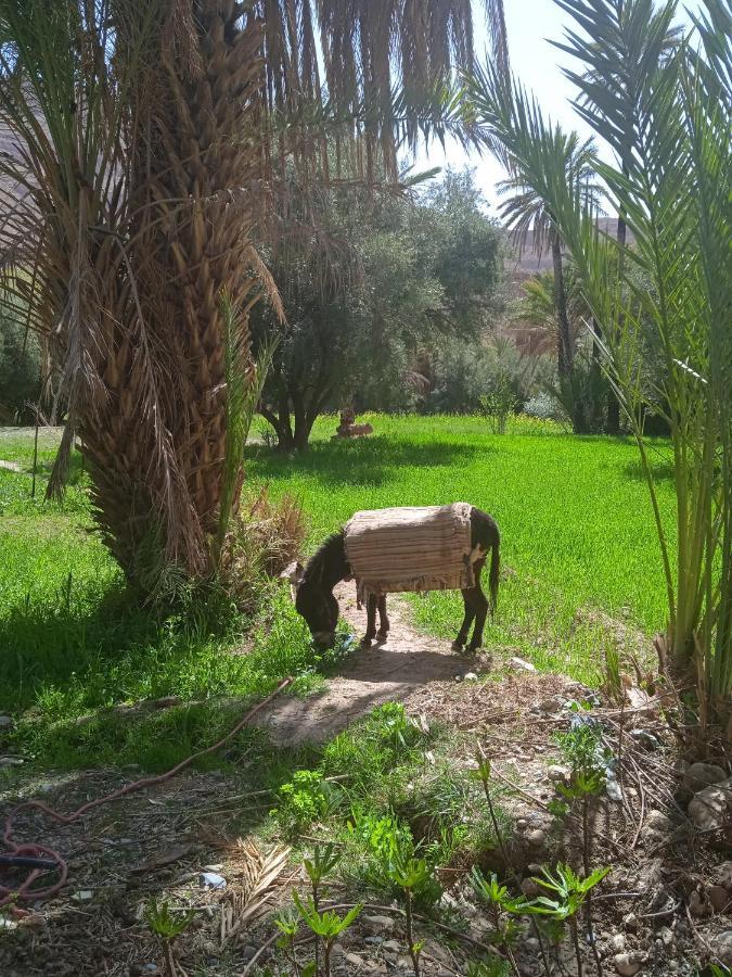 Dar Jamila Achbarou Exterior foto